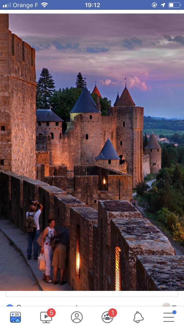 L'Oree De La Cite Villa Carcassonne Exteriör bild